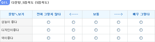 다문항_5점척도