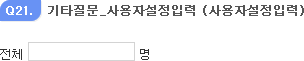기타질문_사용자설정입력
