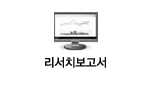 리서치보고서